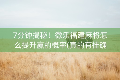 7分钟揭秘！微乐福建麻将怎么提升赢的概率(真的有挂确实有挂)
