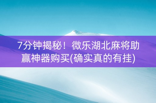 7分钟揭秘！微乐湖北麻将助赢神器购买(确实真的有挂)