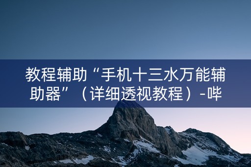 教程辅助“手机十三水万能辅助器”（详细透视教程）-哔哩哔哩