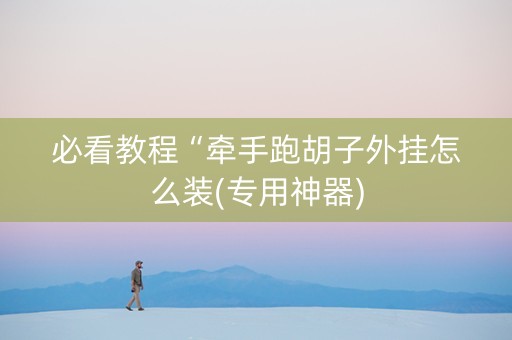 必看教程“牵手跑胡子外挂怎么装(专用神器)