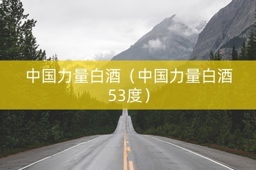 中国力量白酒（中国力量白酒53度）
