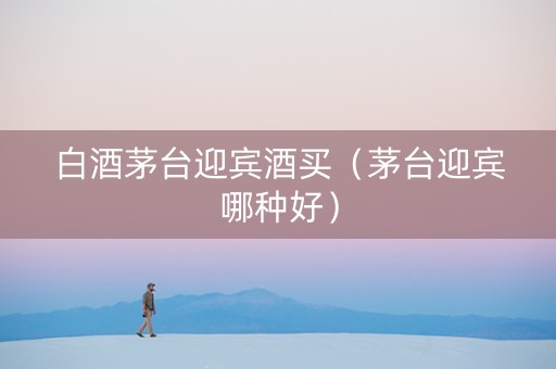 白酒茅台迎宾酒买（茅台迎宾哪种好）