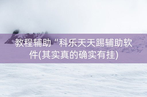 教程辅助“科乐天天踢辅助软件(其实真的确实有挂)