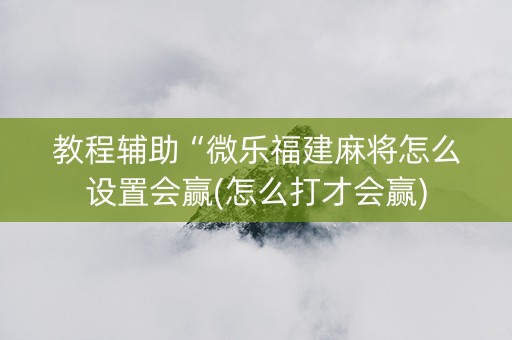 教程辅助“微乐福建麻将怎么设置会赢(怎么打才会赢)
