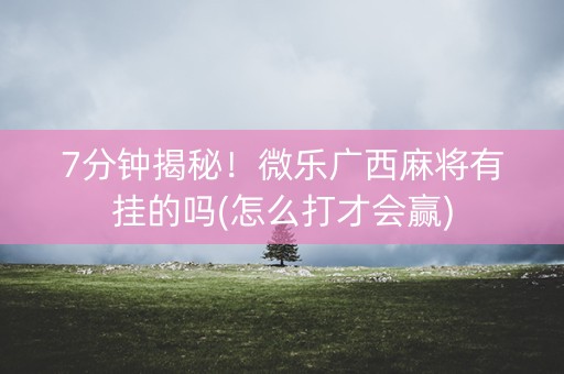 7分钟揭秘！微乐广西麻将有挂的吗(怎么打才会赢)