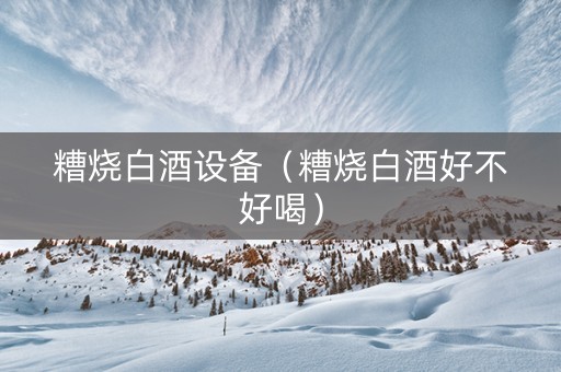 糟烧白酒设备（糟烧白酒好不好喝）