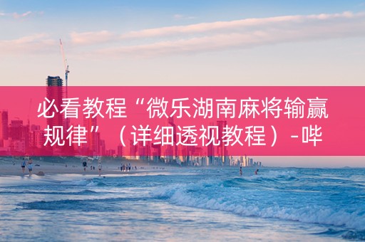 必看教程“微乐湖南麻将输赢规律”（详细透视教程）-哔哩哔哩