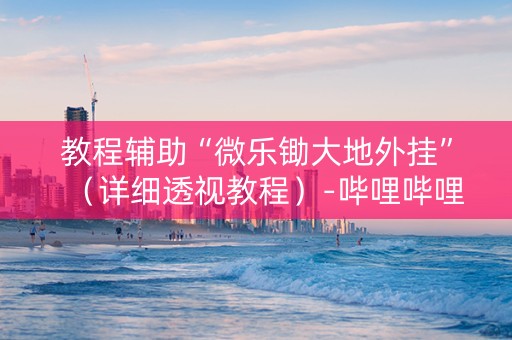 教程辅助“微乐锄大地外挂”（详细透视教程）-哔哩哔哩