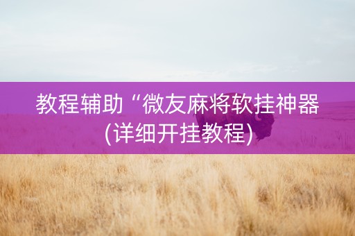 教程辅助“微友麻将软挂神器(详细开挂教程)