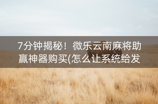 7分钟揭秘！微乐云南麻将助赢神器购买(怎么让系统给发好牌)