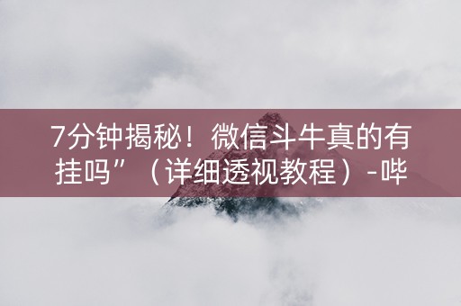7分钟揭秘！微信斗牛真的有挂吗”（详细透视教程）-哔哩哔哩