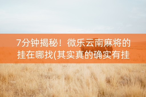 7分钟揭秘！微乐云南麻将的挂在哪找(其实真的确实有挂)