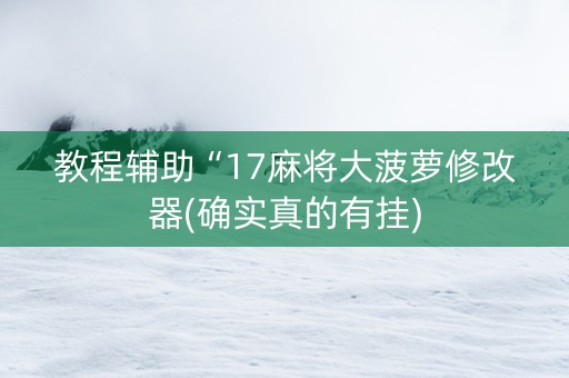 教程辅助“17麻将大菠萝修改器(确实真的有挂)
