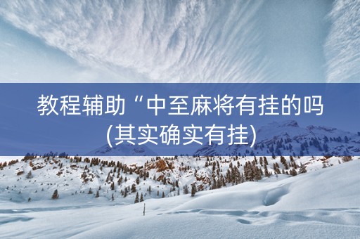 教程辅助“中至麻将有挂的吗(其实确实有挂)