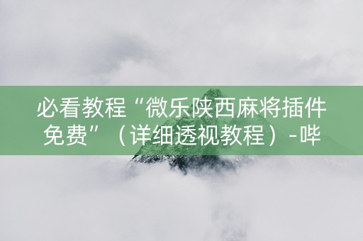 必看教程“微乐陕西麻将插件免费”（详细透视教程）-哔哩哔哩