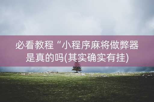 必看教程“小程序麻将做弊器是真的吗(其实确实有挂)