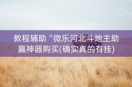 教程辅助“微乐河北斗地主助赢神器购买(确实真的有挂)