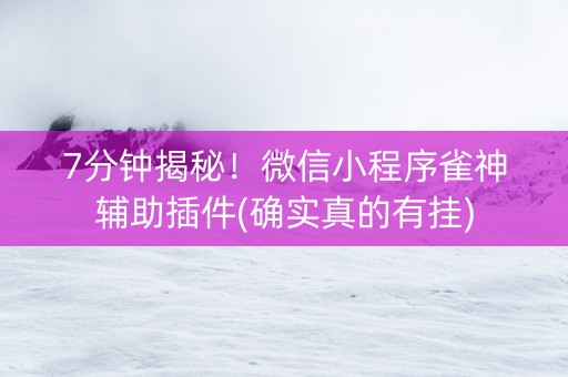 7分钟揭秘！微信小程序雀神辅助插件(确实真的有挂)