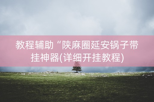 教程辅助“陕麻圈延安锅子带挂神器(详细开挂教程)