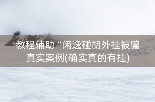 教程辅助“闲逸碰胡外挂被骗真实案例(确实真的有挂)