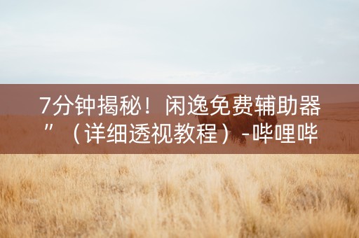 7分钟揭秘！闲逸免费辅助器”（详细透视教程）-哔哩哔哩