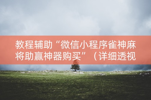 教程辅助“微信小程序雀神麻将助赢神器购买”（详细透视教程）-哔哩哔哩