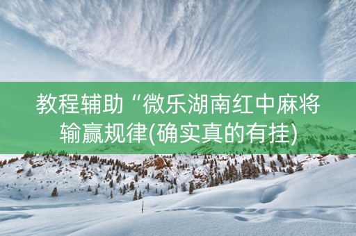 教程辅助“微乐湖南红中麻将输赢规律(确实真的有挂)