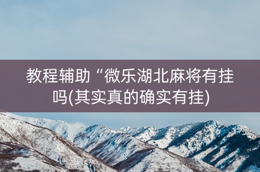 教程辅助“微乐湖北麻将有挂吗(其实真的确实有挂)