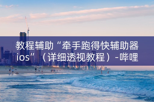 教程辅助“牵手跑得快辅助器ios”（详细透视教程）-哔哩哔哩