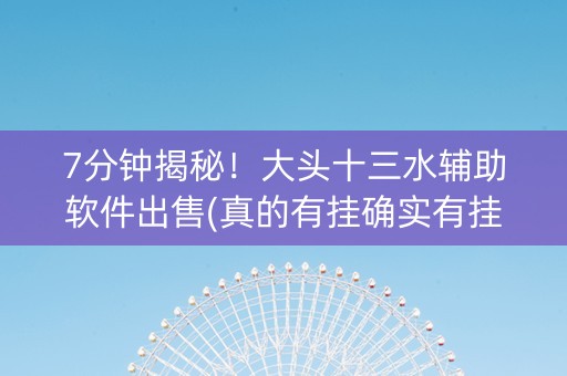 7分钟揭秘！大头十三水辅助软件出售(真的有挂确实有挂)