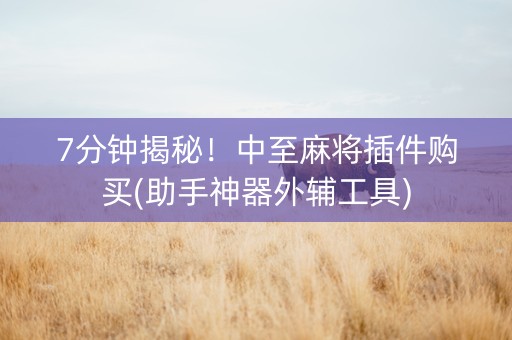 7分钟揭秘！中至麻将插件购买(助手神器外辅工具)