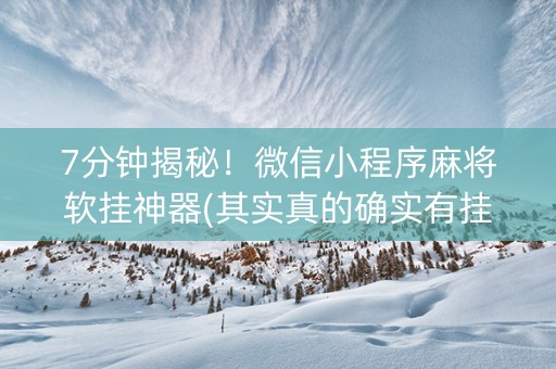 7分钟揭秘！微信小程序麻将软挂神器(其实真的确实有挂)