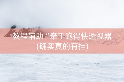 教程辅助“牵手跑得快透视器(确实真的有挂)