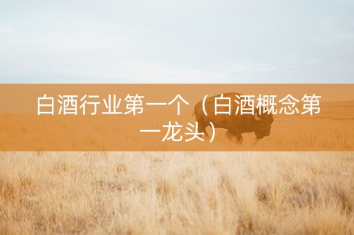 白酒行业第一个（白酒概念第一龙头）
