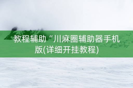 教程辅助“川麻圈辅助器手机版(详细开挂教程)