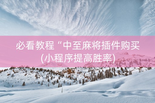必看教程“中至麻将插件购买(小程序提高胜率)