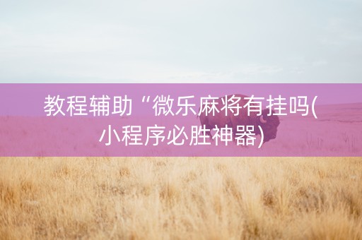教程辅助“微乐麻将有挂吗(小程序必胜神器)
