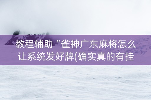 教程辅助“雀神广东麻将怎么让系统发好牌(确实真的有挂)