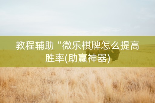 教程辅助“微乐棋牌怎么提高胜率(助赢神器)