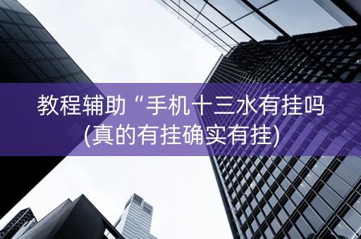 教程辅助“手机十三水有挂吗(真的有挂确实有挂)