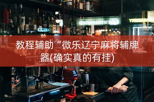 教程辅助“微乐辽宁麻将辅牌器(确实真的有挂)
