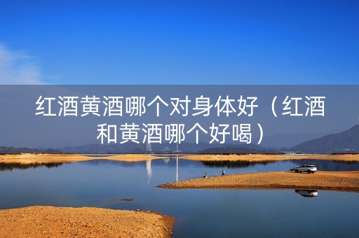 红酒黄酒哪个对身体好（红酒和黄酒哪个好喝）