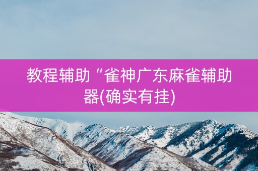 教程辅助“雀神广东麻雀辅助器(确实有挂)