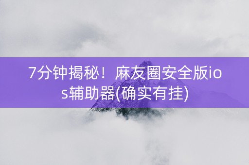 7分钟揭秘！麻友圈安全版ios辅助器(确实有挂)