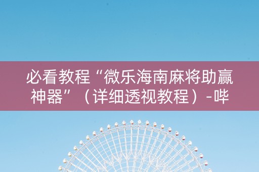 必看教程“微乐海南麻将助赢神器”（详细透视教程）-哔哩哔哩