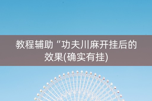 教程辅助“功夫川麻开挂后的效果(确实有挂)