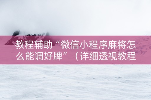 教程辅助“微信小程序麻将怎么能调好牌”（详细透视教程）-哔哩哔哩
