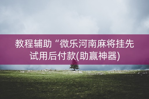 教程辅助“微乐河南麻将挂先试用后付款(助赢神器)