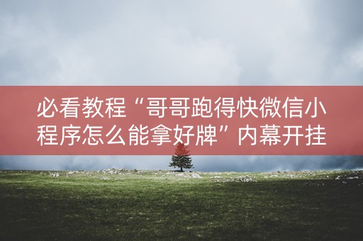 必看教程“哥哥跑得快微信小程序怎么能拿好牌”内幕开挂教程