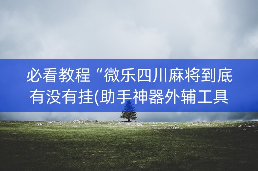 必看教程“微乐四川麻将到底有没有挂(助手神器外辅工具)